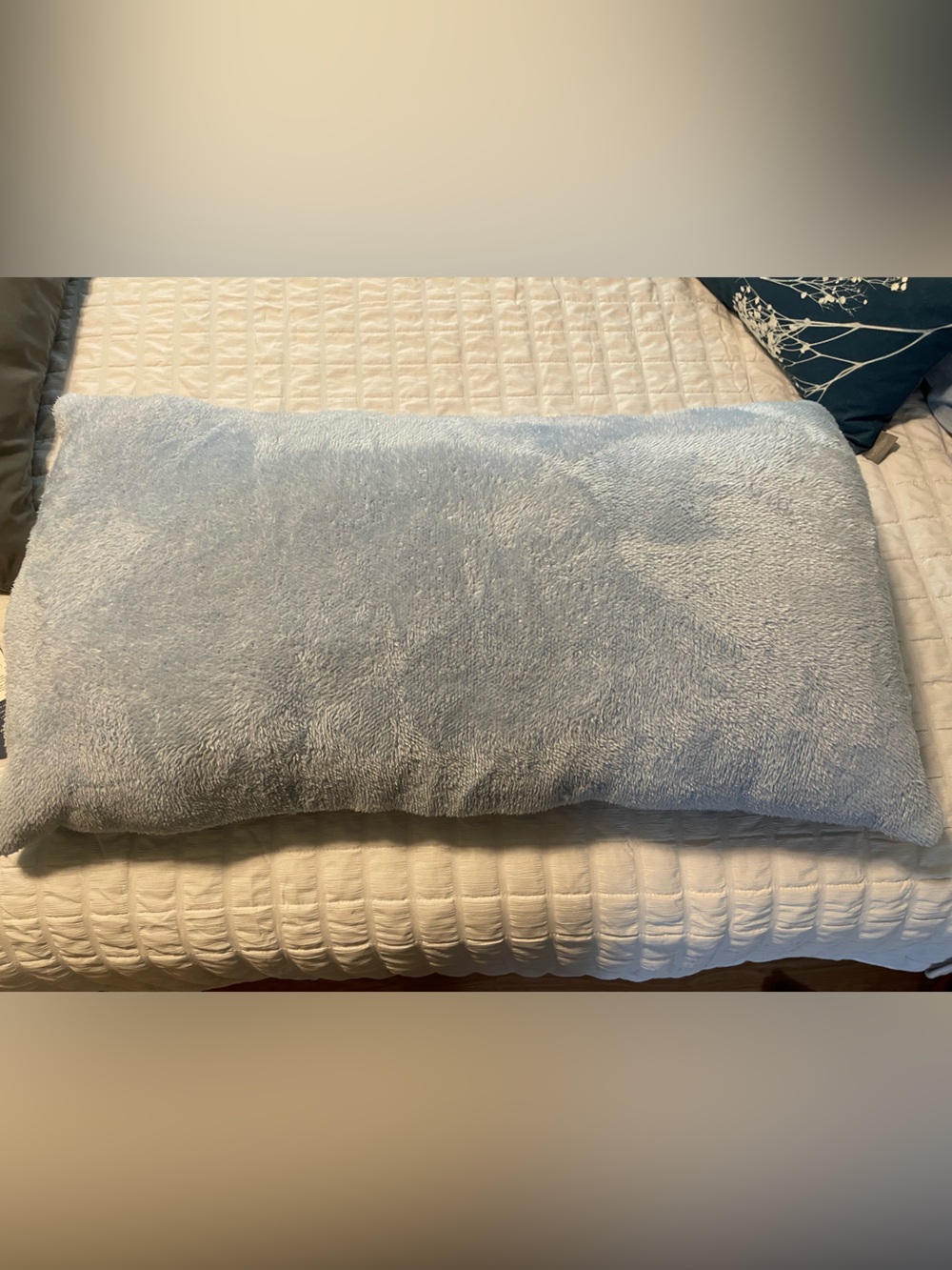 Aeropostale Light Blue Sweatshirt Jersey Body Pillow